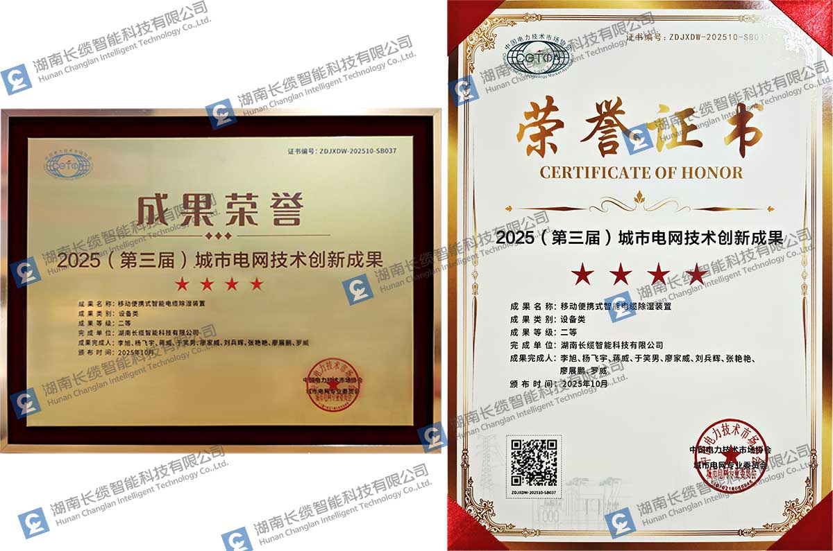 合乐HL8智能闪耀城市电网峰会，双项创新成果斩获三大权威奖项奖牌匾